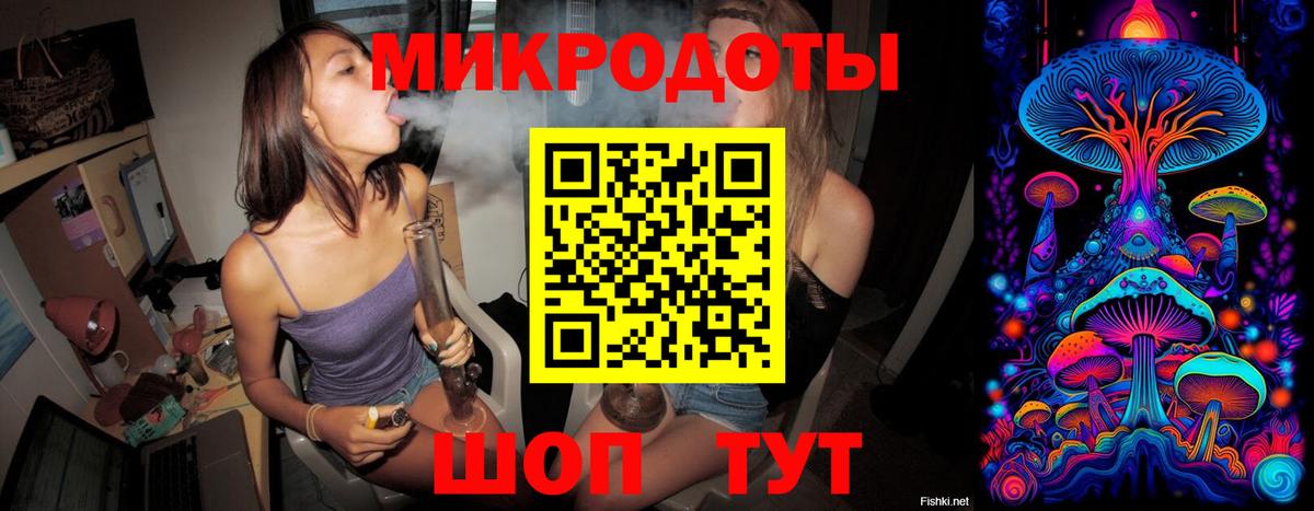 Галлюциногенные грибы Psilocybe  цены   Вход с VPN  Холмск  Галлюциногенные грибы Cubensis 
